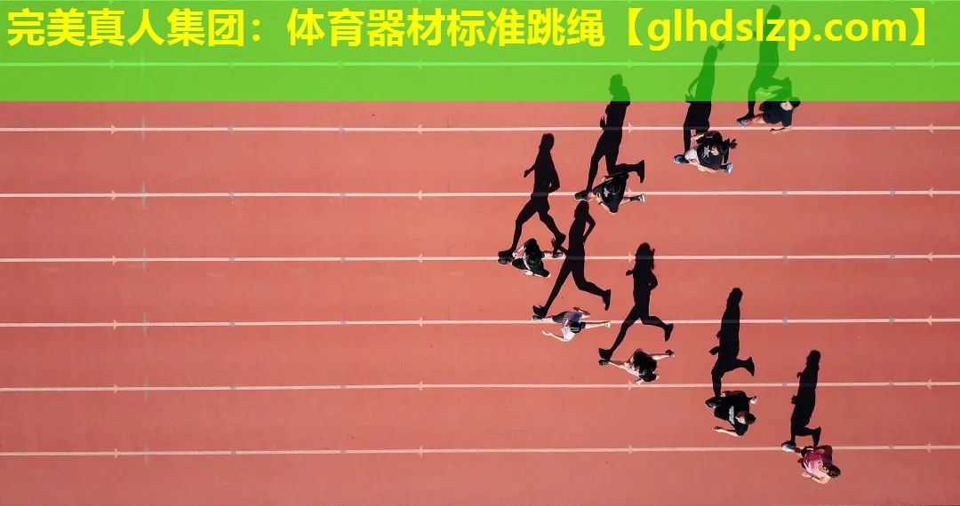 体育器材标准跳绳 体育器材标准跳绳