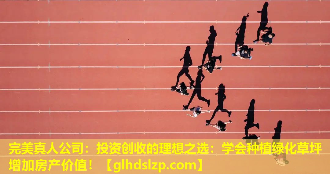 投资创收的理想之选:学会种植绿化草坪增加房产价值! 投资创收的理想之选:学会种植绿化草坪增加房产价值!